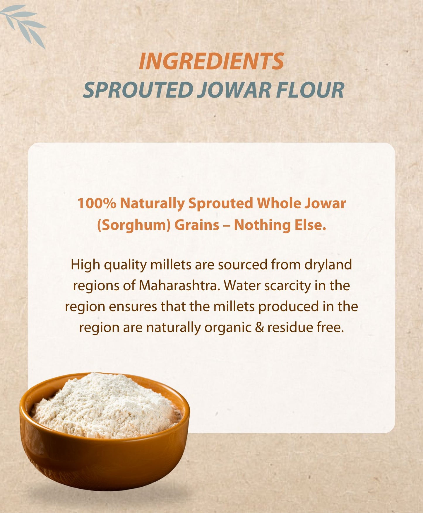 Sprouted Jowar Flour