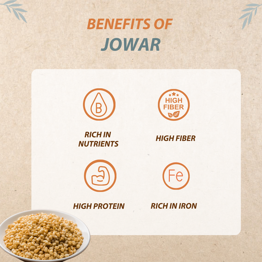 Organic wisdom's nutrients, fiber proteins and iron rich Jowar idli