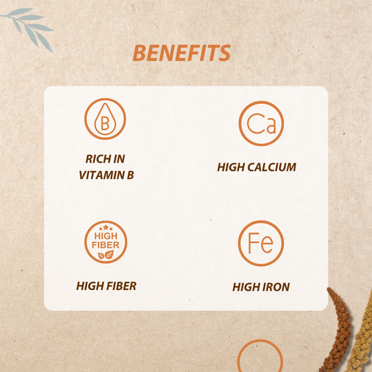 Wholesome, quick, and loved by both kids and adults Millet noodles and pasta