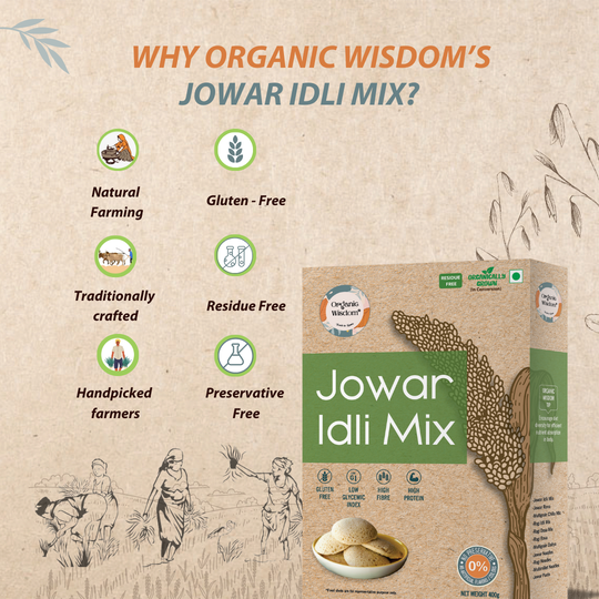 Gluten and residue free Organic wisdom Millet based Jowar idli Mix