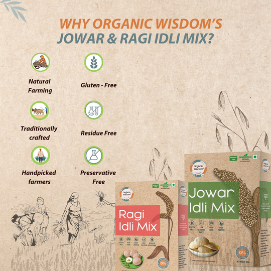 Organic and wholesome nutritious healthy millet idli