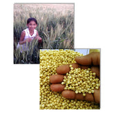 pramo hanumante phadtare img