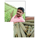 shailesh ramchandra jadhav