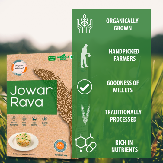 Organic wisdom provides a healthy option to include in your daily diets 
