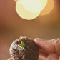 Sprouted Ragi Flour